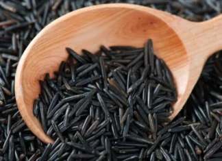 Lifestyle News, Health News, Black Rice White and Brown Rice Alternative Cholesterol Blood Sugar for Type 2 Diabetics Lifestyle News, Health News, Black Rice White and Brown Rice Alternative Cholesterol Blood Sugar for Type 2 Diabetics