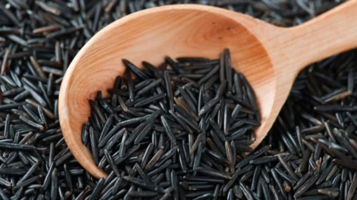 Lifestyle News, Health News, Black Rice White and Brown Rice Alternative Cholesterol Blood Sugar for Type 2 Diabetics

