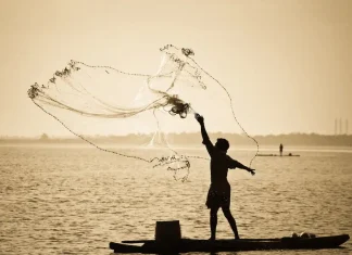 Palghar’s seven fishermen arrested by Pakistan Army Palghar Latest News Palghar's seven fishermen arrested by Pakistan Army Palghar Latest News