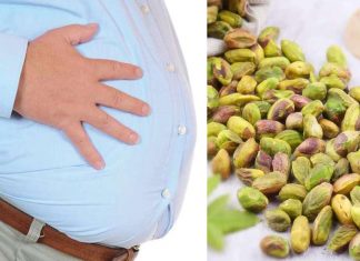 Pistachio Aid Supplement Weight Loss Plan GS Weight Loss Tips: हे ड्रायफ्रूट खाल्ल्याने पोटाची चरबी मेणासारखी वितळते, स्मरणशक्तीही वाढते
