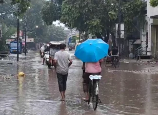 Rain forecast in Maharashtra for next four days, Yellow alert for rain today in western Maharashtra including Konkan Rain forecast in Maharashtra for next four days, Yellow alert for rain today in western Maharashtra including Konkan