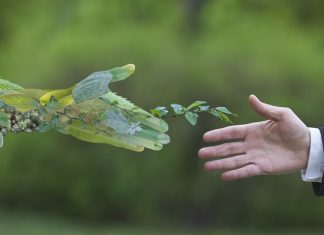 Sobriety and business: 10 expressions to discuss the subject in English La sobriété impose d'adopter des habitudes plus frugales.
