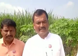 Sugar Commissioner Shekhar Gaikwad works at the behest of some ministers, alleges Pandurang Raite of Farmers’ Union Sugar Commissioner Shekhar Gaikwad works at the behest of some ministers, alleges Pandurang Raite of Farmers' Union