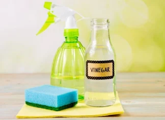 Vinegar Hacks Vinegar can be used not only for cooking sz Vinegar Hacks : केवळ स्वयंपाक नव्हे तर ‘यासाठी' वापरता येते व्हिनेगर, जाणून घ्या सविस्तर