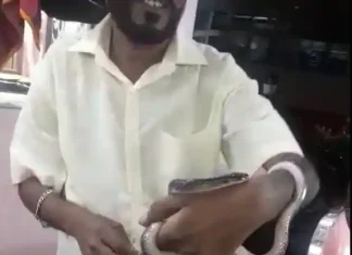 Wardha: One dies due to snake bite after mistaking Manyar snake as Dhaman Wardha: One dies due to snake bite after mistaking Manyar snake as Dhaman
