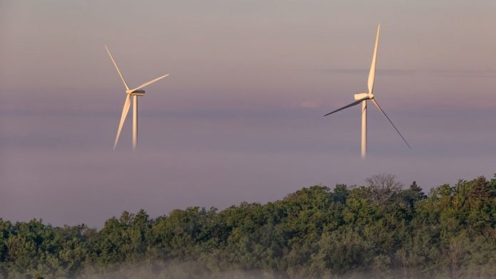 1,3 GW de projets ont demandé à sortir des contrats d'achat avec l'Etat, selon une estimation de la CRE publiée en juillet.