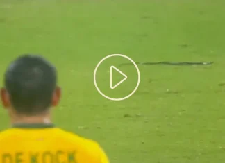india vs south africa 2nd t20 match snake enters the ground viral video rmt IND Vs SA T20: दक्षिण आफ्रिकेविरुद्धच्या सामन्यात मैदानात घुसला साप, पळापळ झाल्याचा Video Viral